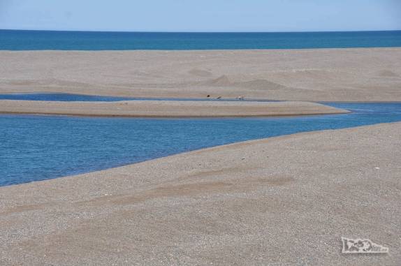 O belíssimo visual do litoral da Península Valdés, na  patagônia argentina